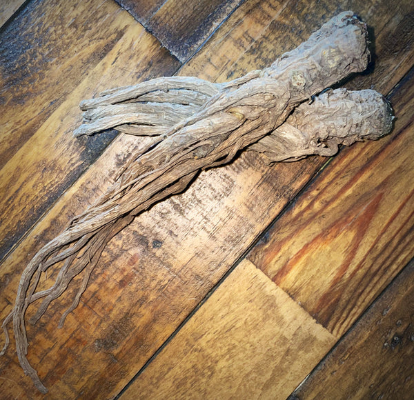 Master Root Real Root Whole Master Root – Conjure Worx